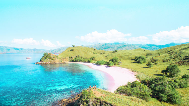 Traveler’s Guide to Have the Best Komodo Island Trip