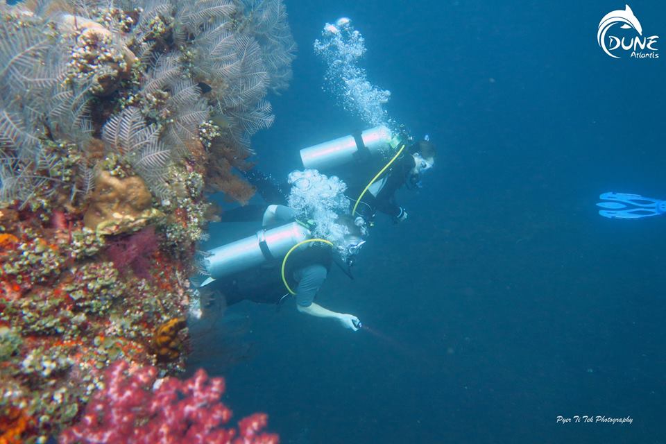 best scuba diving in bali for beginners
