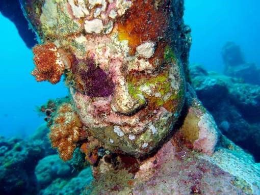 Which Diving Sites in Bali is Best for You?