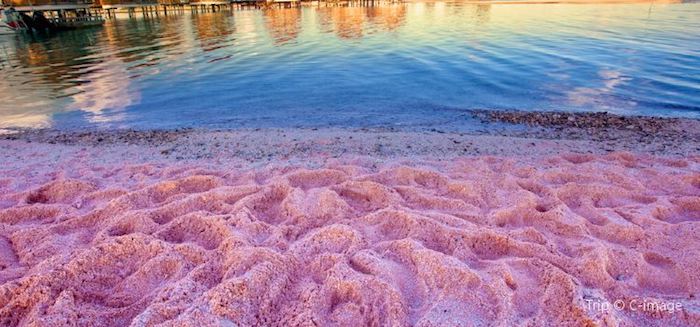 padar island pink beach komodo