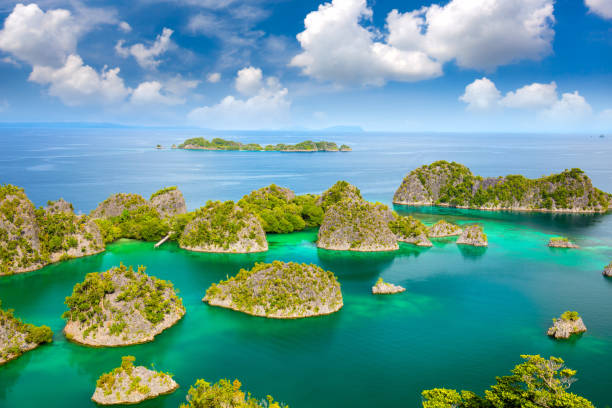 Aerial view of paradise islands in turquoise sea with reef islands coastline, beautiful lagoons. Indonesia - raja ampat trip