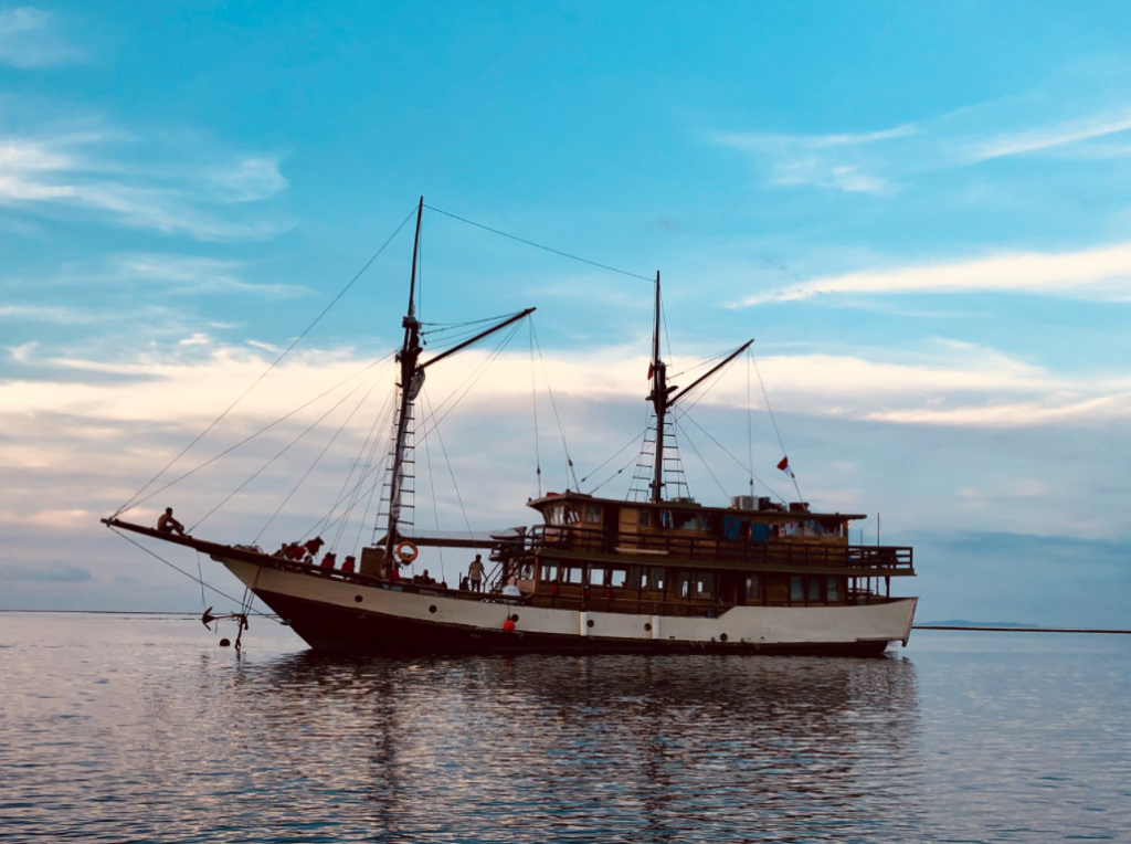 Komodo island Liveaboard Budget & Best Time To Sail 