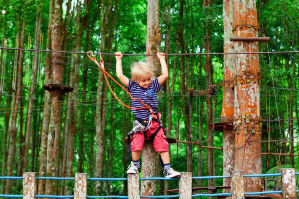 Brave young child in safety harness climb high on tree tops, pass hanging bridge obstacle in adventure rope park. Outdoor activity,  active lifestyle in summer scout camp on family holidays with kids