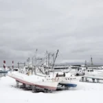 北海道の漁港と海鮮が広がる雄大な景色