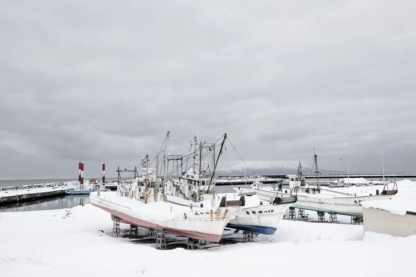 北海道の漁港と海鮮が広がる雄大な景色